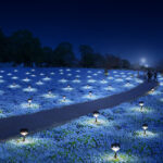 ネモフィラ花壇ライトアップイメージ