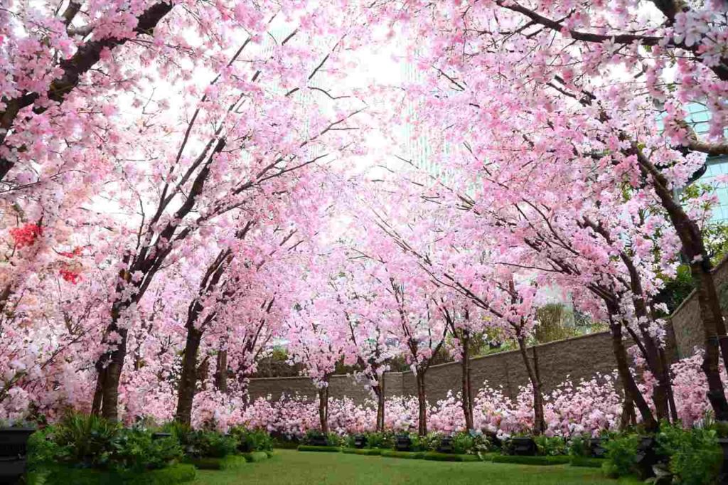 【大名古屋ビルヂング開業7周年】桜グルメ・イルミネーション・サクラスカイガーデン装飾も！　画像１