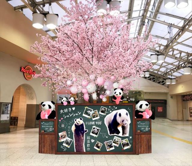 アトレ上野×JR上野駅「ずぅっと#らぶらぶシャンシャン桜ツリー」が登場！写真展も開催中　画像１