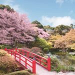 19種58本の桜が咲き誇る絶景の日本庭園。夜はライトアップも！