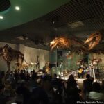 人気の上野の美術館・博物館とのコラボレーション企画「ミュージアム・コンサート」を開催！