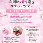季節の桜を巡るタクシーツアー 3月25日（土）3月26日（日) 10時〜13時、11時から14時