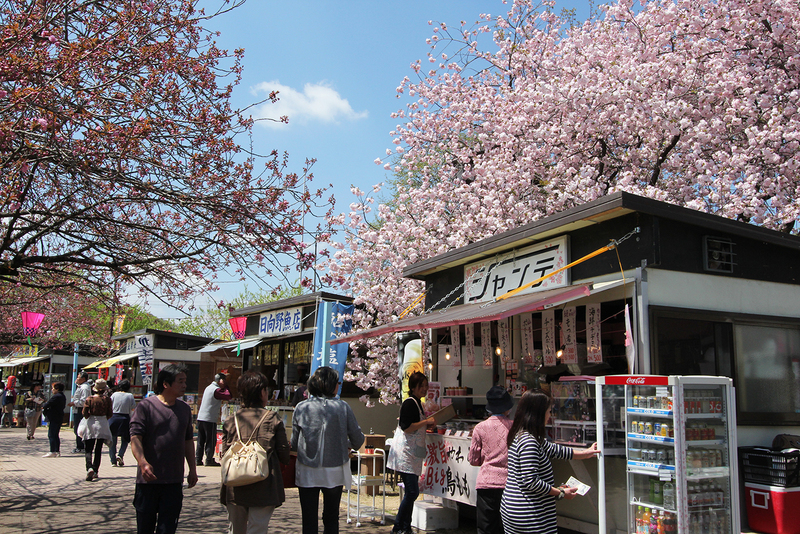 JAFが栃木「天平の花まつり」でイベント開催　「子ども安全免許証」発行、レッカー車展示など　画像１