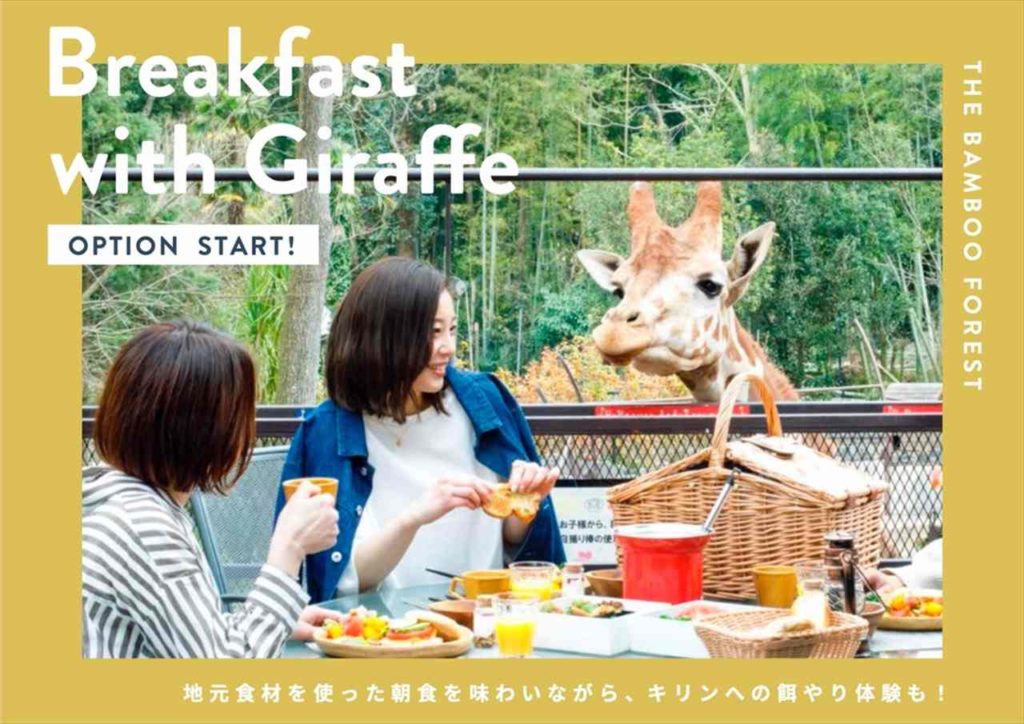 キリンと一緒に朝食を楽しめる！？大人気プランを再開【動物園×グランピングのTHE BAMBOO FOREST】　画像１