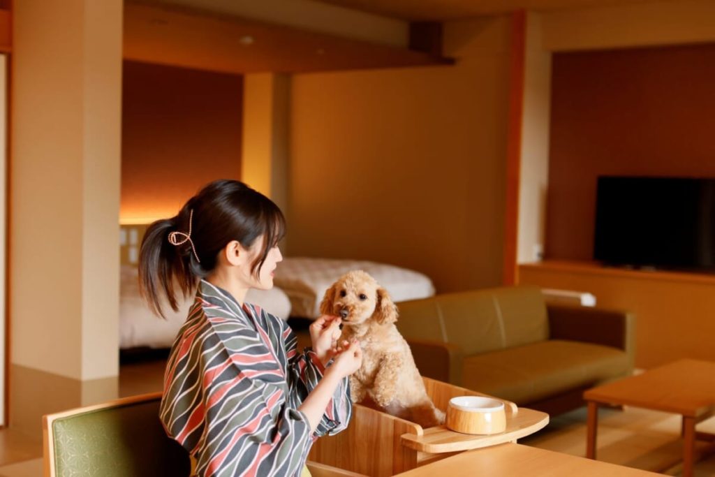 愛犬と一緒に宿泊！大阪市内の温泉旅館「不死王閣」に小型犬と泊まれる客室とドッグランが新設　画像１