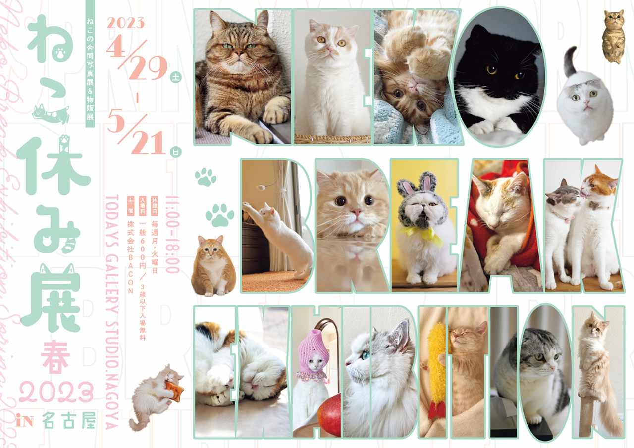 スター猫の作品も初登場！可愛い猫の魅力が詰まった「ねこ休み展」が名古屋で4月29日から開催　画像１