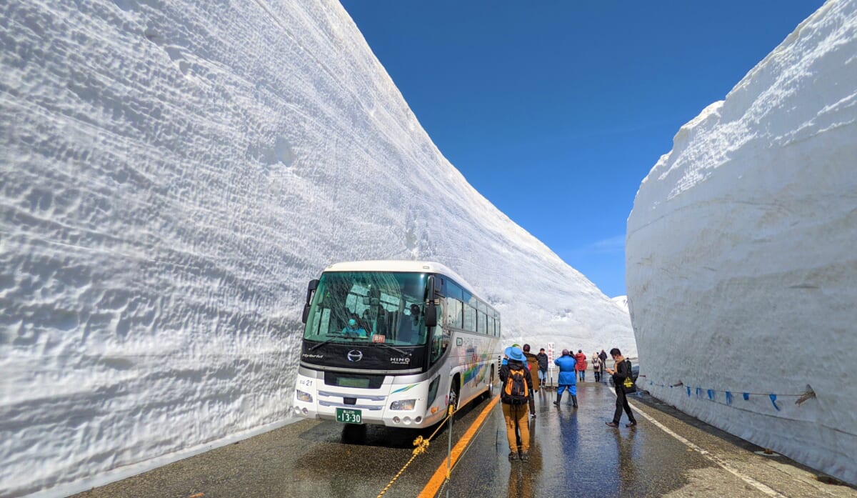 2023年の高さは13m！迫力ある雪の壁の間を歩く「雪の大谷ウォーク」が開催中　画像１
