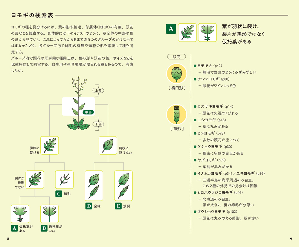 日本初、ヨモギだけを紹介した植物図鑑