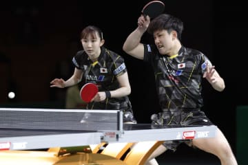 張本智和、早田ひな組が4強入り 世界卓球、混合ダブルス　画像１