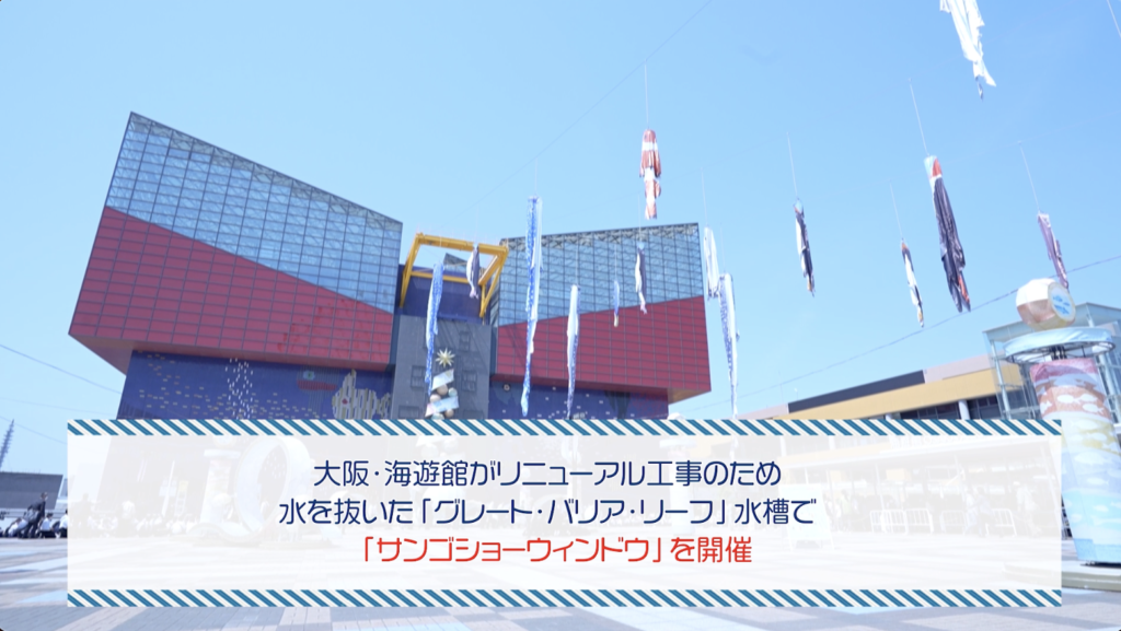 海洋ゴミを再利用して作られた服を展示　大阪「海遊館」リニューアル工事前の空の水槽で　画像１