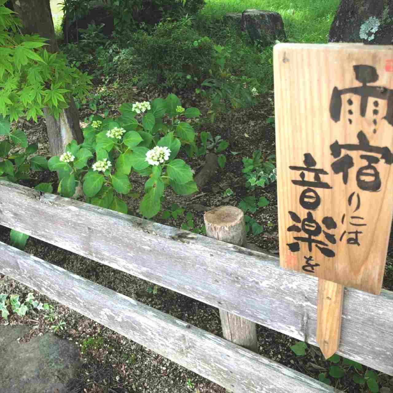 琵琶湖畔で野外音楽イベント「雨宿りには音楽を」開催！大自然の中で音楽に浸る2日間　画像３