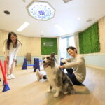 Relo Hotels＆Resorts with DOGS