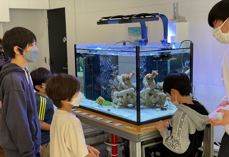 小中学生向けの体験型プログラム「サンゴの好きを探し出せ！」 　アラムコ・アジア・ジャパンなどが日本科学未来館で　画像１