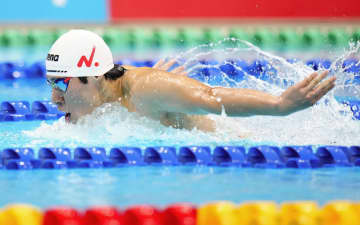 競泳、本多が200バタで4連覇 日本学生選手権第2日　画像１