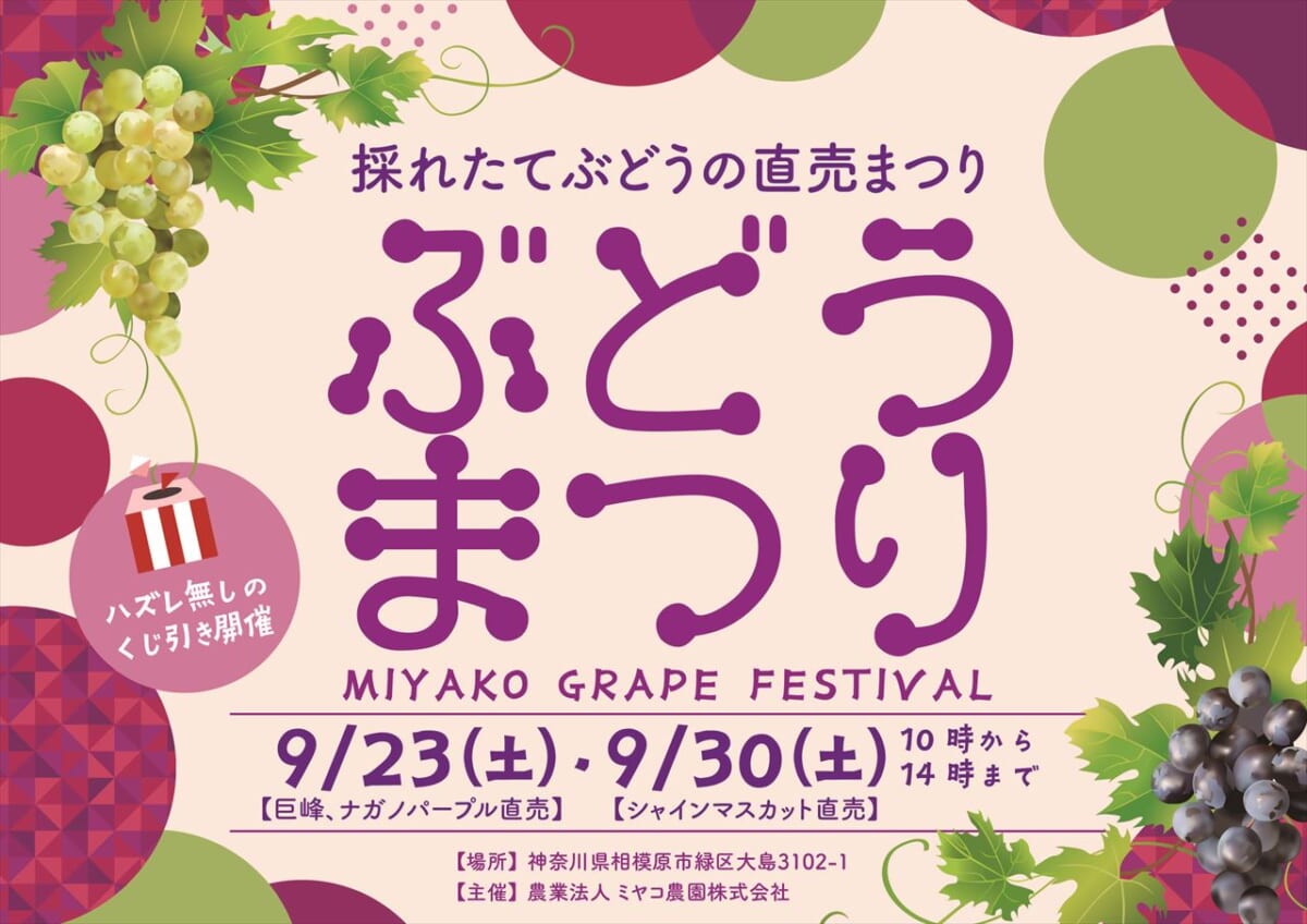【神奈川県】シャインマスカット・ナガノパープルも！ミヤコ農園の直売イベント「ぶどうまつり」開催　画像２