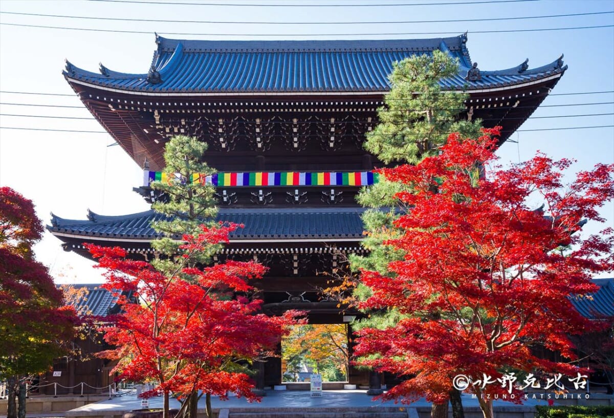【京都】通常非公開の「くろ谷 金戒光明寺」秋の特別拝観を開催！紅葉の美しい庭園や特別展示も　画像２