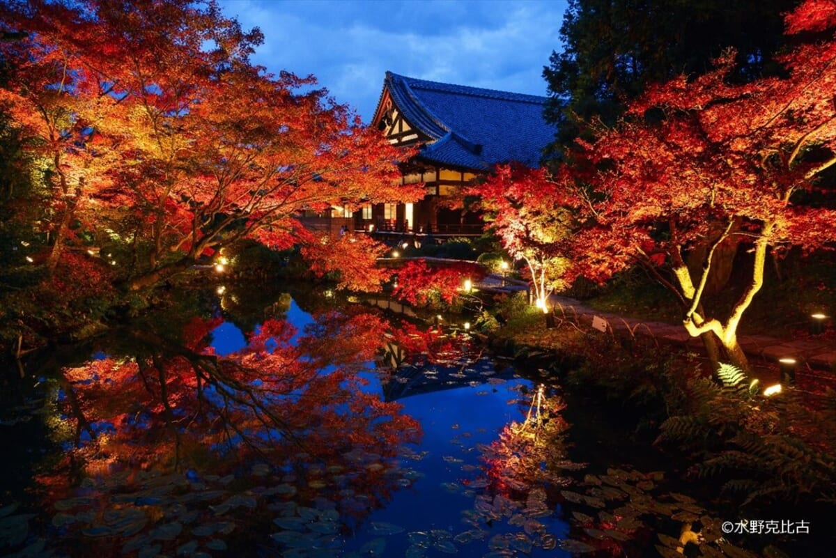 【京都】通常非公開の「くろ谷 金戒光明寺」秋の特別拝観を開催！紅葉の美しい庭園や特別展示も　画像１
