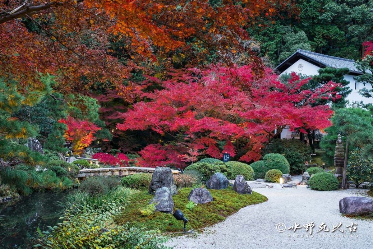 【京都】通常非公開の「くろ谷 金戒光明寺」秋の特別拝観を開催！紅葉の美しい庭園や特別展示も　画像３