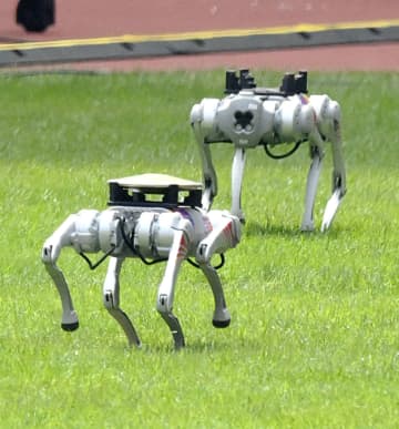 陸上競技、円盤運びにロボット犬 杭州アジア大会、「ブンブン」　画像１