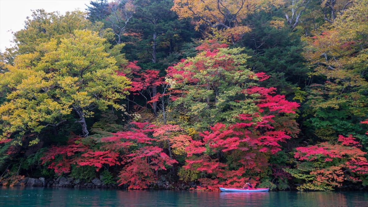 【10月～11月の期間限定】奥日光の紅葉を湖上から満喫！宿泊プラン＆グランピング貸切プラン開始　画像４