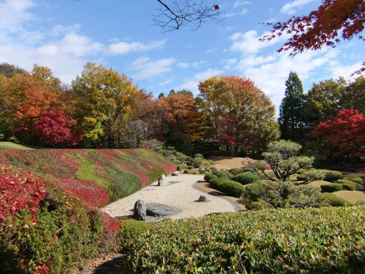 【長野県】小諸ワイン50周年と新酒を楽しむワインの祭典を開催！紅葉・観光スポット・秋イベント情報も　画像３