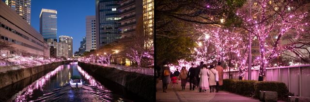 100%自家発電で冬の桜Ⓡが咲く「目黒川みんなのイルミネーション2023」11月10日から開催！　画像５