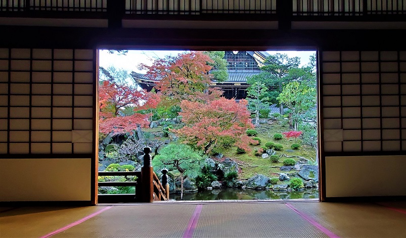 BS11で「京都を知る。」　11月は紅葉生中継やレギュラー番組で京都づくしの放送に！　画像１