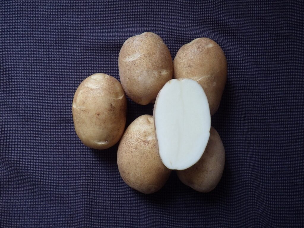 10年前に独自開発したジャガイモの品種「ぽろしり」