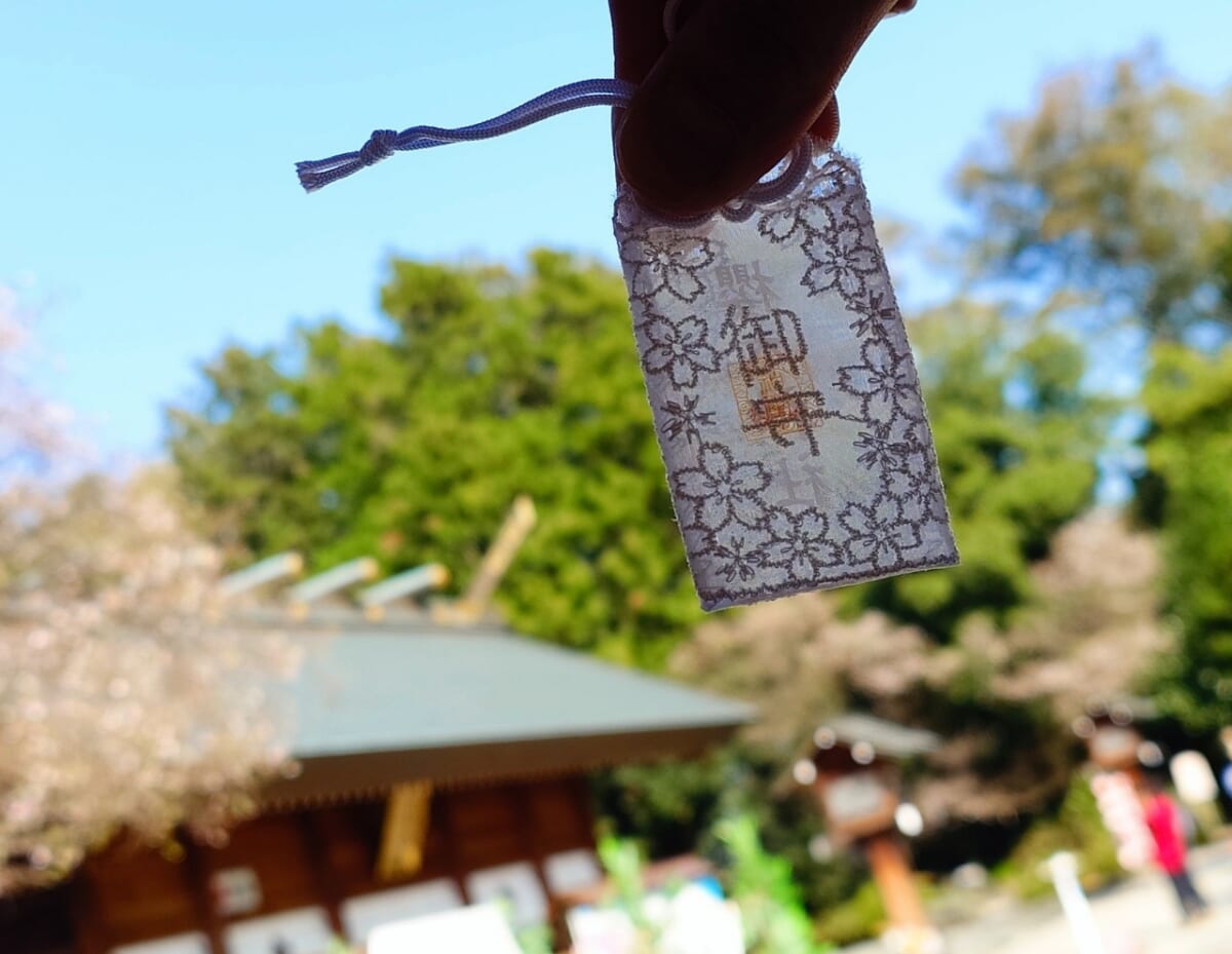 【東日本1位の「櫻木神社」は御朱印も御守も桜色！】一年中咲く桜に癒やされる、親子に優しい人気神社｜千葉・野田市　画像２０