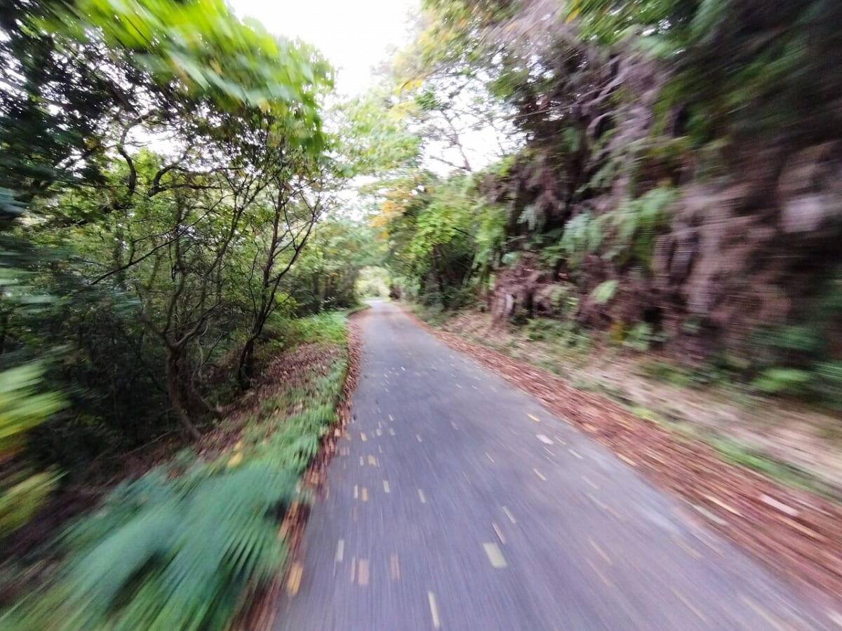 神秘の木霊が聞こえるヤッホー公園とは！？e-Bikeで楽しむ江戸時代の宿場町「矢掛町」【前編】　画像１１