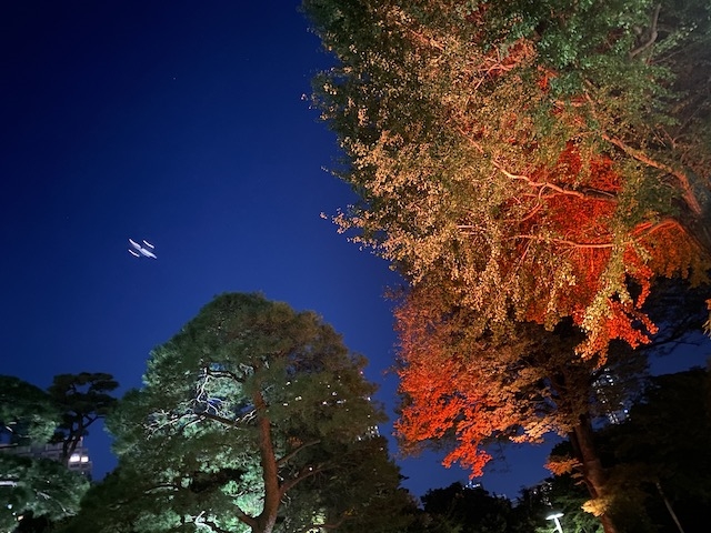 赤く染まる日本庭園で秋を満喫する！八芳園の「TOKYO RED GARDEN AUTUMN FESTIVAL 2023」現地ルポ　画像１３