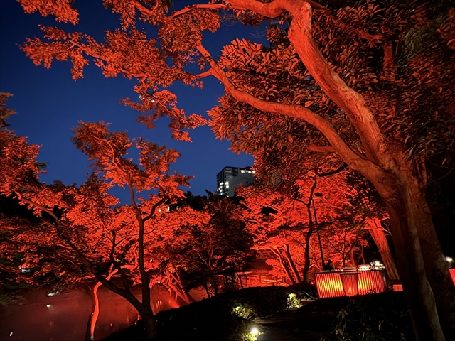 赤く染まる日本庭園で秋を満喫する！八芳園の「TOKYO RED GARDEN AUTUMN FESTIVAL 2023」現地ルポ　画像１