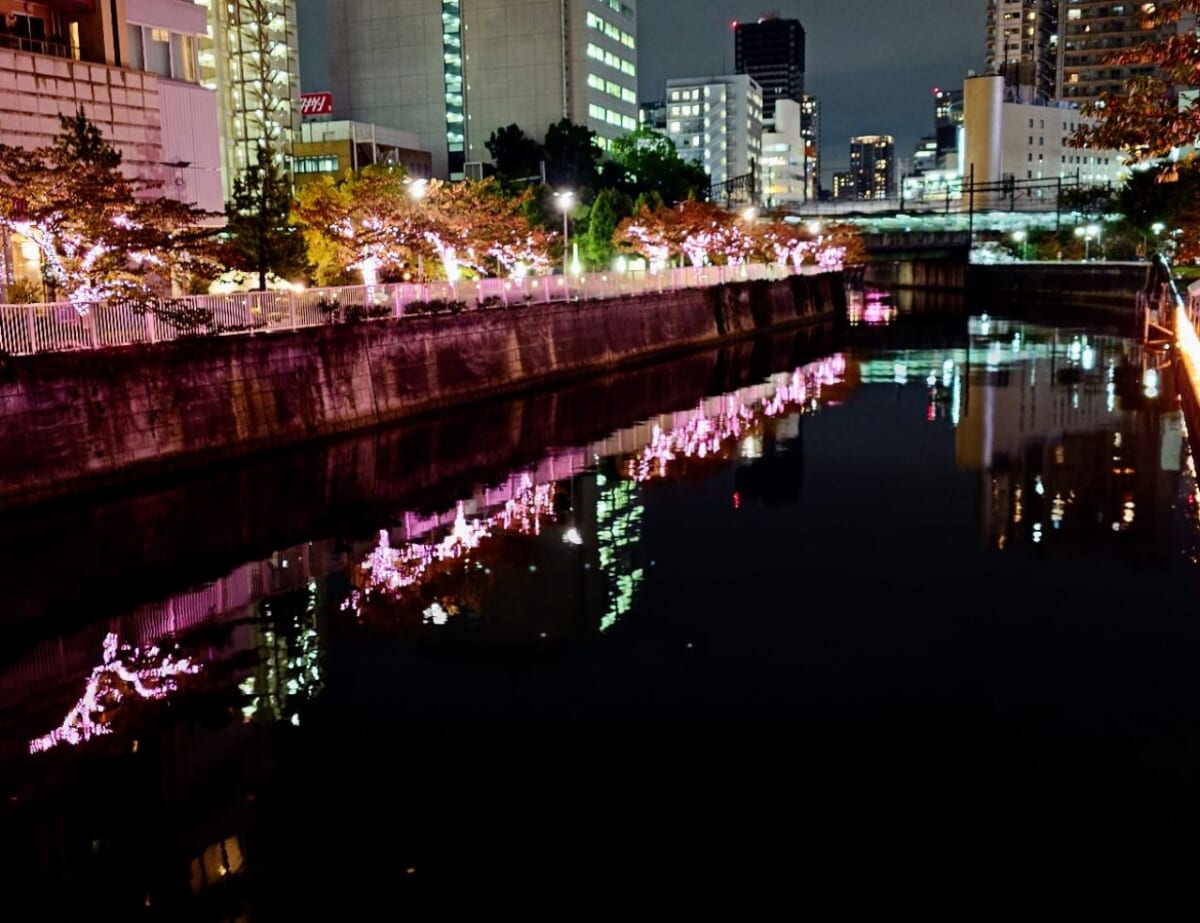 【目黒川みんなのイルミネーション2023】桜の名所に約38万球の光の桜が輝き咲く！自家発電の東京イルミ　画像１２