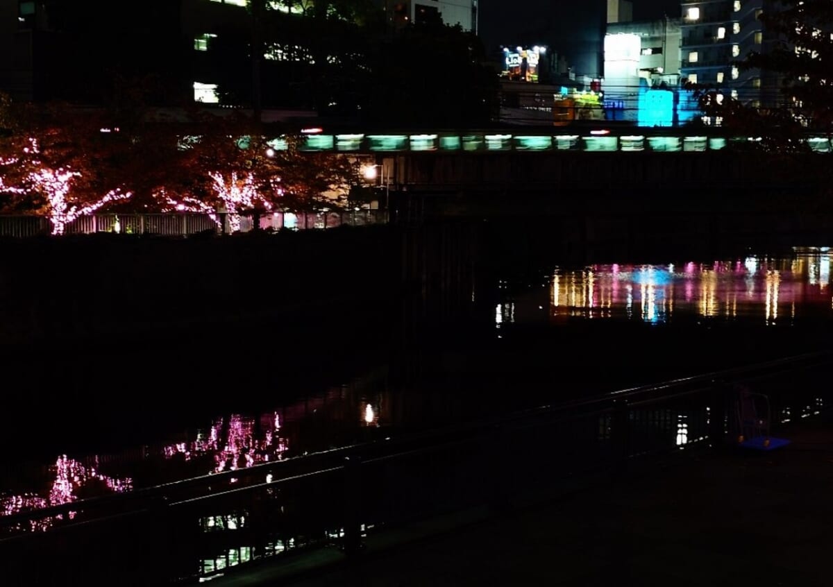 【目黒川みんなのイルミネーション2023】桜の名所に約38万球の光の桜が輝き咲く！自家発電の東京イルミ　画像１３