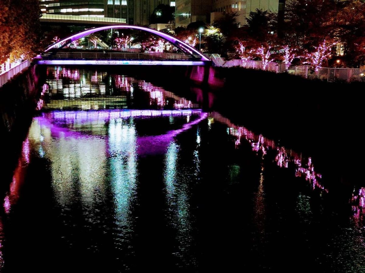 【目黒川みんなのイルミネーション2023】桜の名所に約38万球の光の桜が輝き咲く！自家発電の東京イルミ　画像１６