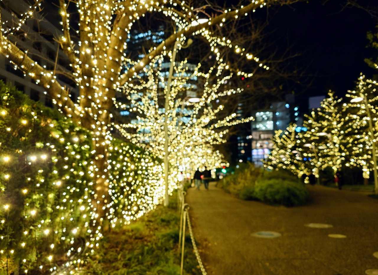 【六本木・東京ミッドタウン】雲海のようなイルミが幻想的な「MIDTOWN CHRISTMAS 2023」＆COACHとコラボしたアイスリンクも登場！　画像１３