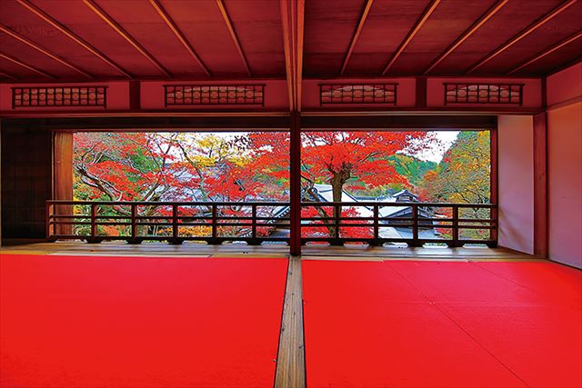 花手水で知られる京都「柳谷観音」で紅葉イベント開催！ライトアップ・上書院特別公開・限定御朱印も　画像１