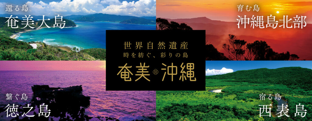 奄美大島の魅力を満喫するサイトがリニューアル  「島のいいもの」が当たるキャンペーンも開催中　画像１