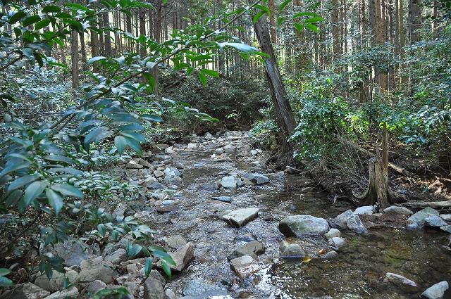 「サントリー天然水の森 ひょうご西脇門柳山」（兵庫県西脇市）。2023年に環境省の「自然共生サイト」に認定された