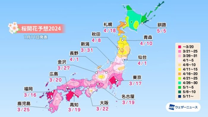 桜は3月半ばに開花へ　平年より早まる予想　画像１