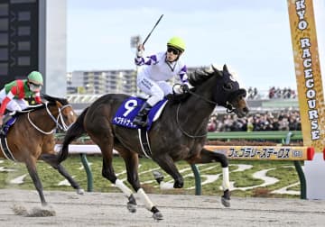 競馬、ペプチドナイルが優勝 フェブラリーステークス　画像１