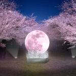 小金井公園、満月をイメージしたオブジェのフォトスポット(イメージ)　