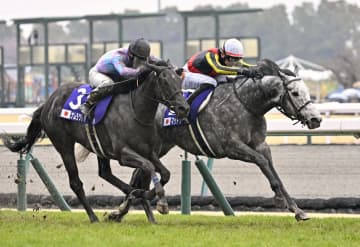 マッドクールが優勝 競馬の高松宮記念　画像１