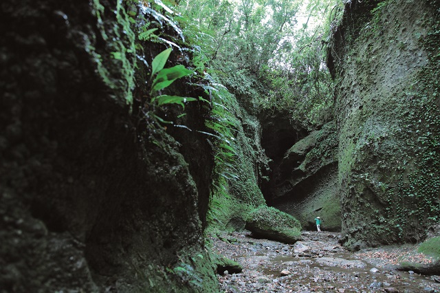 悠久の自然の造形、伊尾木洞
