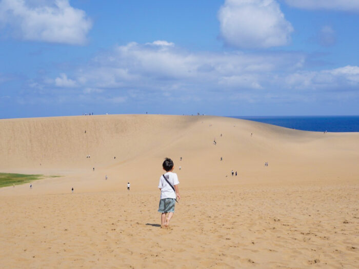 鳥取県は雄大な砂丘がすぐそこに。のびのびと遊ぶことができる