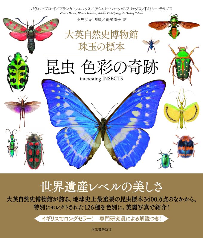 3400万点から厳選した珠玉の標本126点 昆虫が魅せる色彩の奇跡を楽しむ