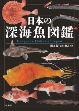日本の深海魚423種類を掲載した図鑑 不思議な生態や名前の由来も | OVO [オーヴォ]