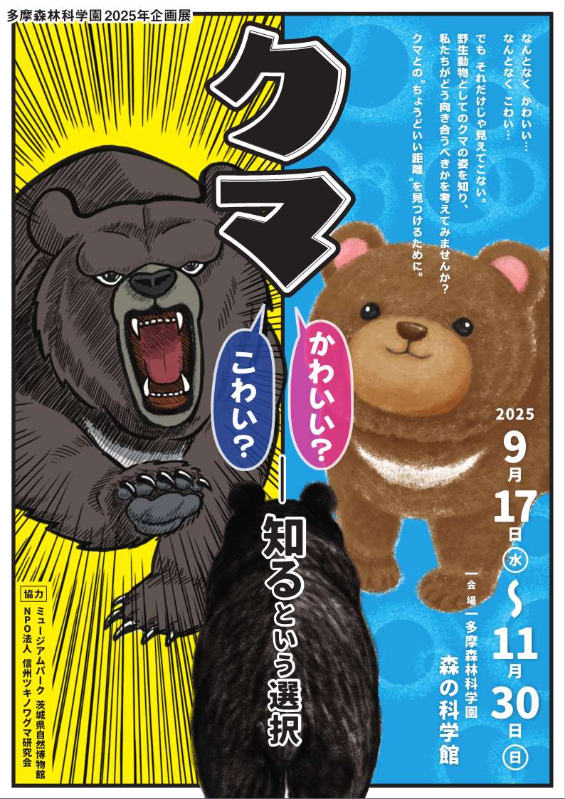 正しく“知る”ことで、クマとのちょうどよい距離を 企画展「クマ